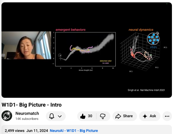 Neuromatch NeuroAI W1D1 screenshot