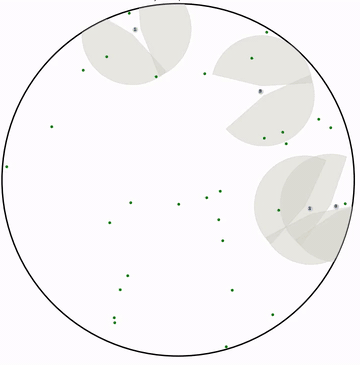 Zebrafish collective foraging